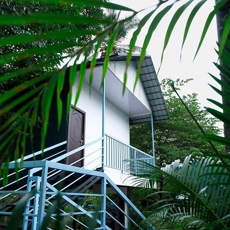 Green Aura Private Villas Sultan Bathery Dış mekan fotoğraf