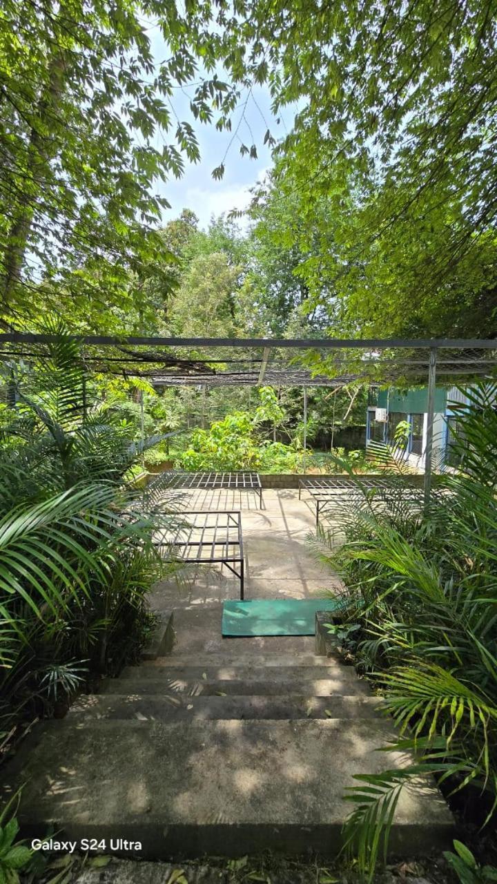 Green Aura Private Villas Sultan Bathery Dış mekan fotoğraf